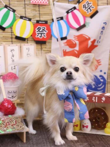 20240713とわくん